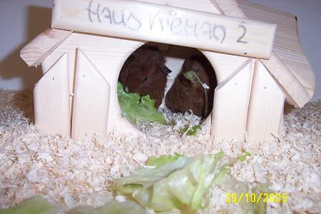 29-10-2005 2 104_klein