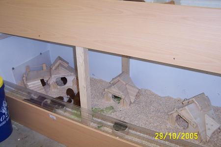 29-10-2005 2 109_klein