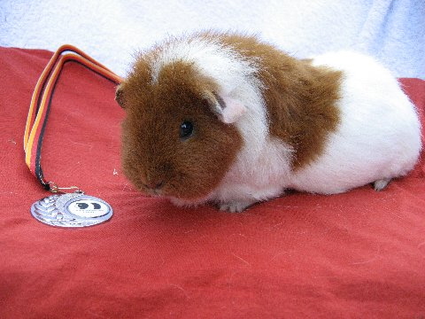 Kira_mitAuszeichnung