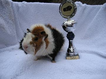 Niklas_Bundessieger_200602